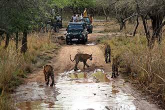 Corbett Deers Home, Corbett 5